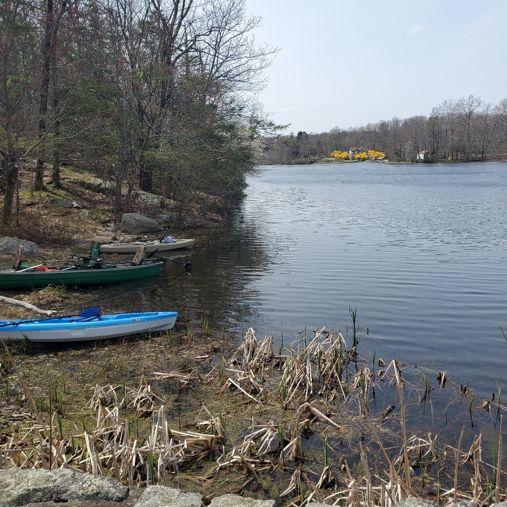 Meet your Posher, Maria